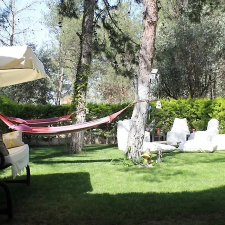 فيلة Adavillas Gazelle *