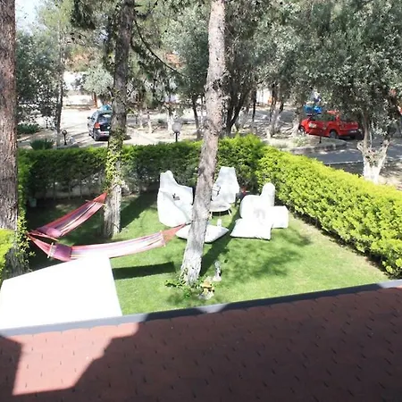 Adavillas Gazelle فيلة *