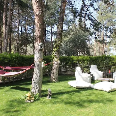 فيلة Adavillas Gazelle